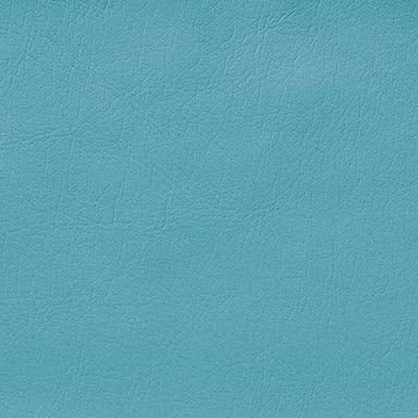 Midmark Ultraleather Cyan