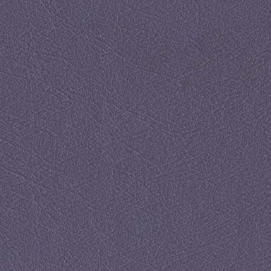 Midmark Ultraleather Plum