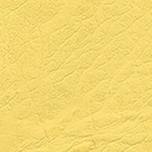 Sirona Sahara Yellow