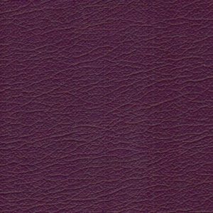 Planmeca Ultra Purple 9333
